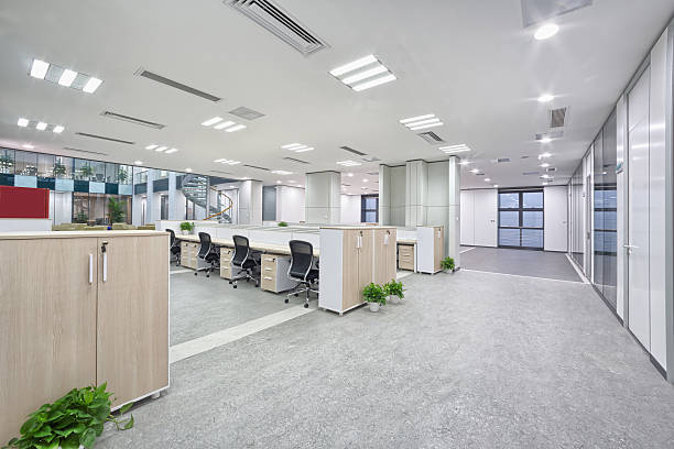 Modern office workspace with natural daylight and LED ceiling lights enhancing employee productivity